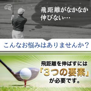 ゴルフ練習器具 スイングトレーナー ゴルフ ト...の詳細画像4