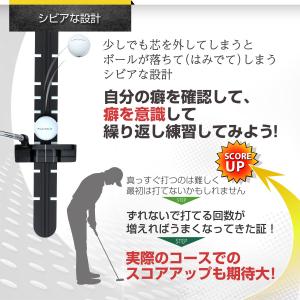パター練習レール ゴルフ 練習 ゴルフ練習用品...の詳細画像5