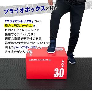 プライオボックス ソフト 3 in 1 プライ...の詳細画像3