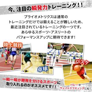 プライオボックス ソフト 3 in 1 プライ...の詳細画像5