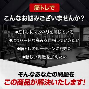 ジムハンマー 10kg ハンマー トレーニング...の詳細画像3