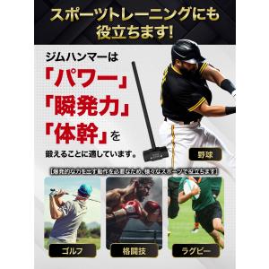 ジムハンマー 10kg ハンマー トレーニング...の詳細画像5