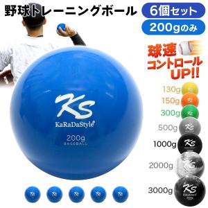 KaRaDa Style 野球 トレーニング ボール ウエイトボール 球速