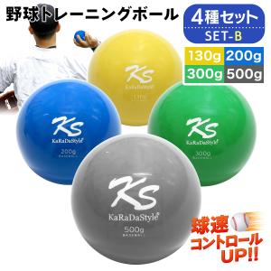 ゼット（ZETT） Driveline Baseball プライオボール PBSET00006 球速