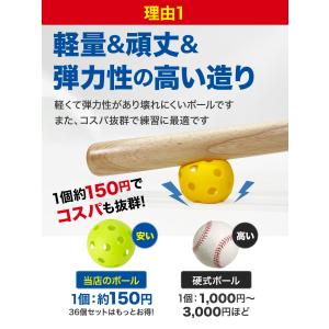 野球 練習 ボール 穴あきボール バッティング...の詳細画像3