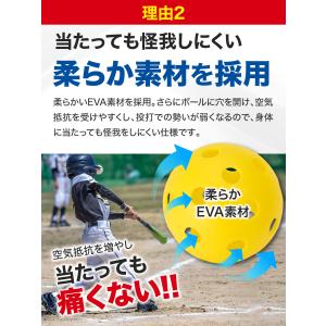 野球 練習 ボール 穴あきボール バッティング...の詳細画像4