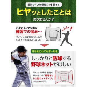 野球ネット 大型ワイド 3.8×2.4M バッ...の詳細画像2