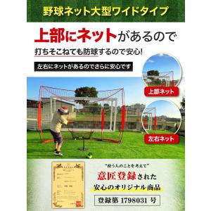 野球ネット 大型ワイド 3.8×2.4M バッ...の詳細画像4