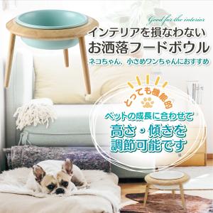えさ皿 猫 犬 食器 えさ 皿 餌入れ フード...の詳細画像1