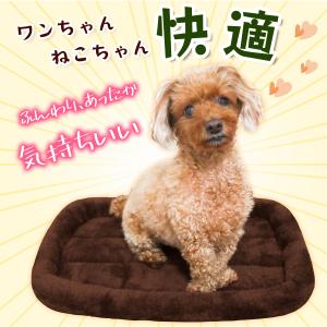 ペットベッド 犬 猫 ベッド クッション 冬 ...の詳細画像1