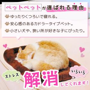 ペットベッド 犬 猫 ベッド クッション 冬 ...の詳細画像2