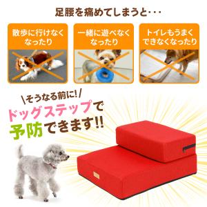 【ドッグトレーナー推奨】 ドッグステップ 犬 ...の詳細画像5