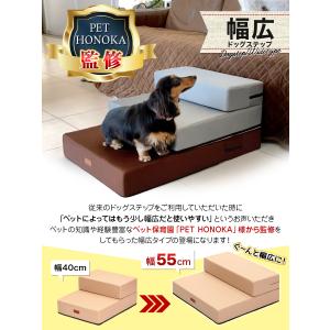 ドッグステップ 犬 幅広 55cm 2段 階段...の詳細画像1