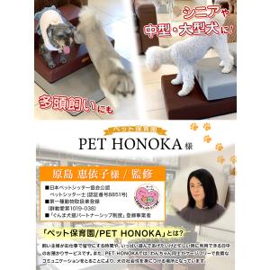 ドッグステップ 犬 幅広 55cm 2段 階段...の詳細画像2