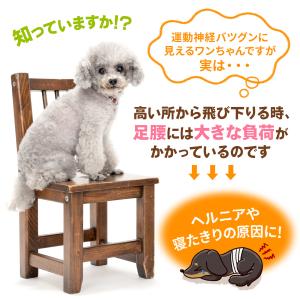 ドッグステップ 犬 幅広 55cm 2段 階段...の詳細画像4