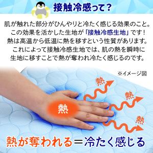 ペットベッド ひんやり 夏 洗える 犬 猫 ベ...の詳細画像5
