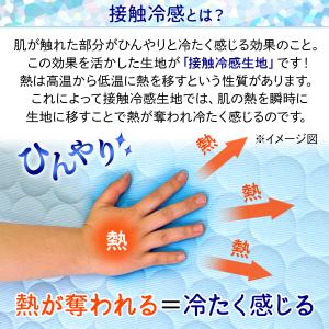 春夏用 ドームハウス 犬 猫 ベッド ドーム型...の詳細画像5