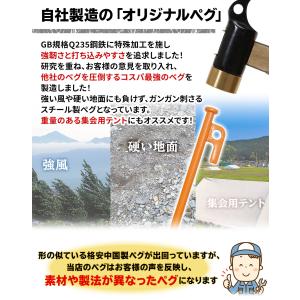 ペグ 20cm 強靭 スチールペグ キャンプ ...の詳細画像3