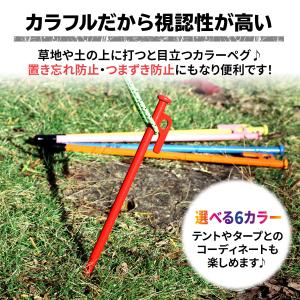 ペグ 20cm 強靭 スチールペグ キャンプ ...の詳細画像4