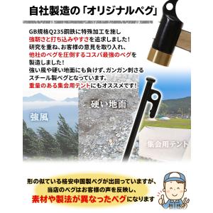 ペグ 40cm 強靭 スチールペグ キャンプ ...の詳細画像3