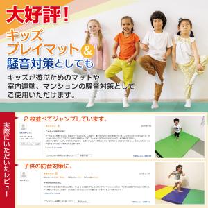 重反発 マット 体操 折りたたみ ボルダリング...の詳細画像2