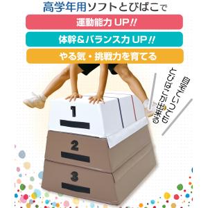 跳び箱 室内 子供 高学年向け ソフト 飛び箱...の詳細画像1
