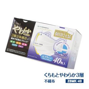 (個包装)くちもとやわらかマスク 40枚入り【40枚×1箱】 約175×90ｍｍ 不織布 使い捨てマスク (ふつうサイズ  Ωオメガタイプ 立体)[syspo][T]｜syufunomikata