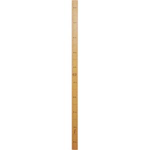 西敬 定規 ハイビスカス竹尺 1m 竹製ものさし 30×1000mm MBS-100