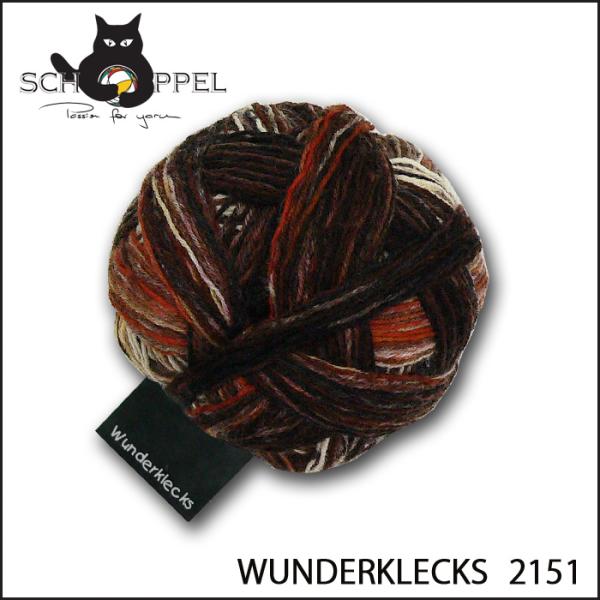 毛糸 編物 ショッペル SCHOPPEL WUNDERKLECKS 2151 / ソックヤーン 靴下...