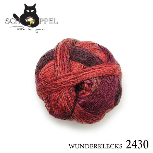毛糸 編物 ショッペル SCHOPPEL WUNDERKLECKS 2430 / ソックヤーン 靴下...