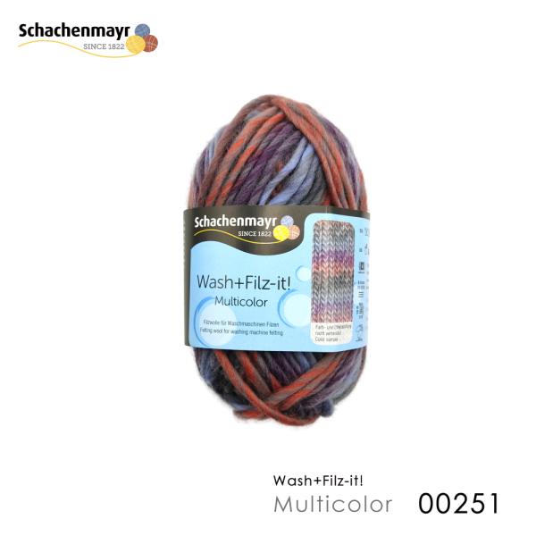 Schachenmayr Wash+Filz-it! Multicolor 00251 シャッヘンマ...