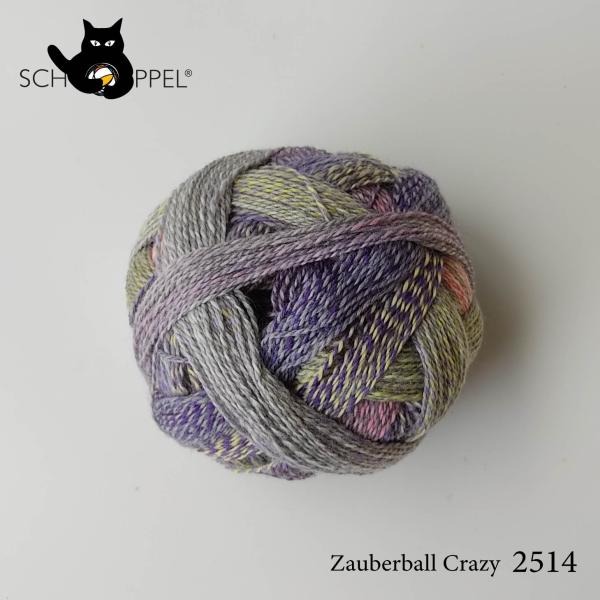 毛糸 編物 ショッペル SCHOPPEL 靴下用毛糸 ZAUBERBALL CRAZY 2514 （...