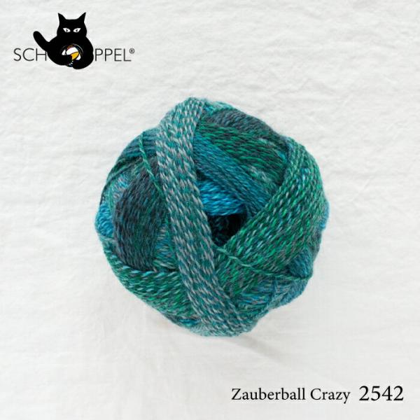 ショッペル SCHOPPEL 靴下用毛糸 ZAUBERBALL CRAZY 2542 （ザウバーボー...