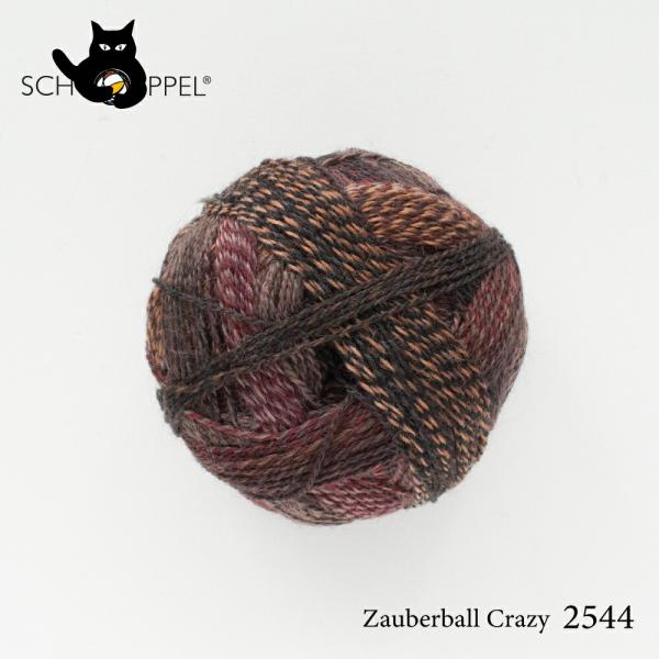 ショッペル SCHOPPEL 靴下用毛糸 ZAUBERBALL CRAZY 2544 （ザウバーボー...