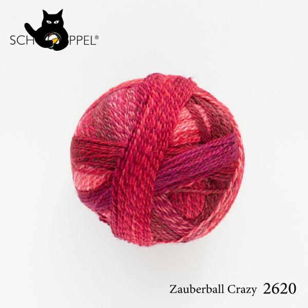 ショッペル SCHOPPEL 靴下用毛糸 ZAUBERBALL CRAZY 2620 （ザウバーボー...