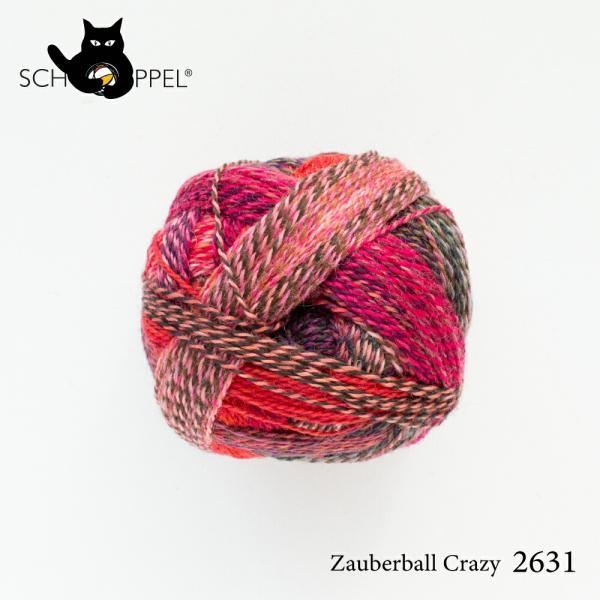 ショッペル SCHOPPEL 靴下用毛糸 ZAUBERBALL CRAZY 2631 （ザウバーボー...