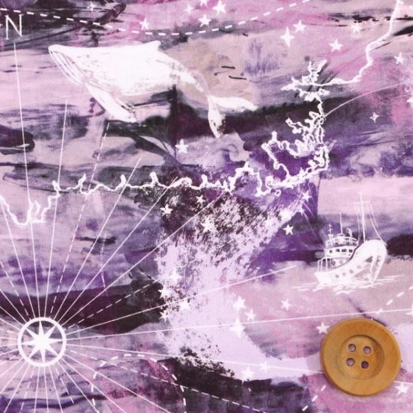 リバティ・ファブリックス タナローン『Aurora Sky オーロラ・スカイ』パープル（157734...