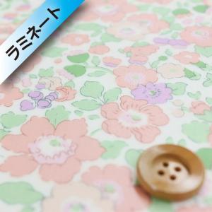 サンドウオリジナル）リバティ・ファブリックス タナローン