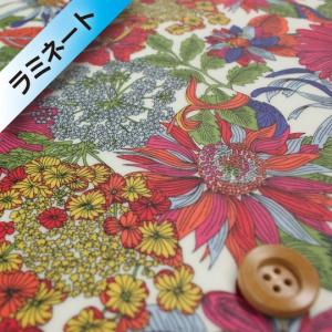 リバティプリント タナローン（ラミネート加工）『Angelica Garla アンジェリカ・ガーラ』ショッキングピンク（3631034/BE）