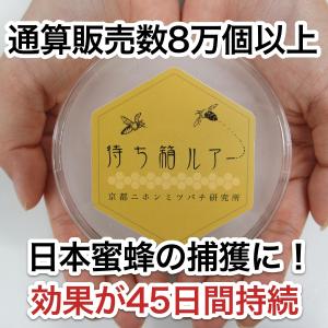 ！！新店舗で購入できます！！待ち箱ルアー(単品)