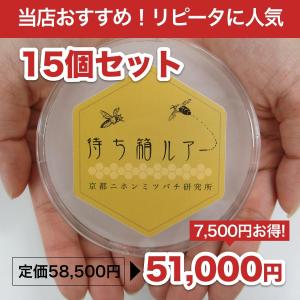 ！！新店舗で購入できます！！待ち箱ルアー(15個セット)