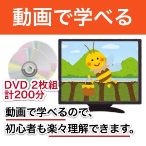 これならできる!ニホンミツバチの週末養蜂【DVD付】の詳細画像1