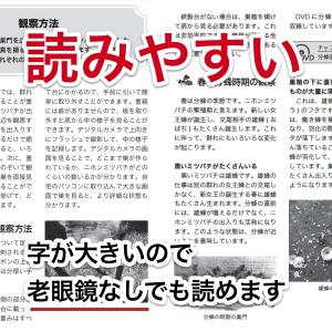 これならできる!ニホンミツバチの週末養蜂【DVD付】の詳細画像2