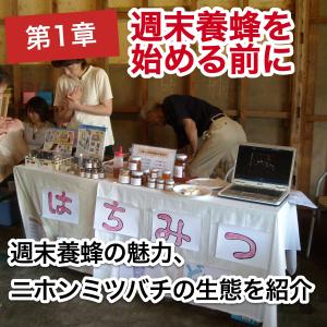 これならできる!ニホンミツバチの週末養蜂【DVD付】の詳細画像3