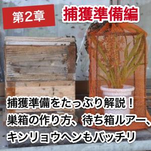 これならできる!ニホンミツバチの週末養蜂【DVD付】の詳細画像4