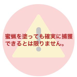ニホンミツバチの蜜蝋 【80g】の詳細画像2