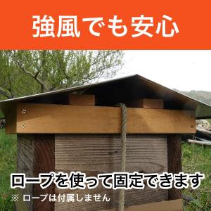屋根単品の詳細画像1