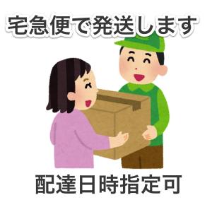 屋根単品の詳細画像5