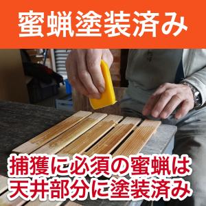 待ち箱(2段重箱式巣箱)の詳細画像4