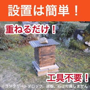 待ち箱(2段重箱式巣箱)の詳細画像2